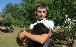 Planète - Ile-de-France: Théo, 16 ans, loue des moutons pour tondre votre jardin !