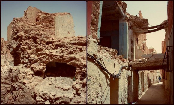 Ouargla: opération d’inventaire dans les régions d’Oued Mya et Oued-Righ