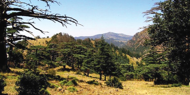 BATNA - Projet d’extension du parc de Belezma