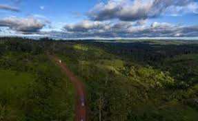 Planète - Amazonie: L’Unesco veut mieux protéger les biens communs de l’humanité