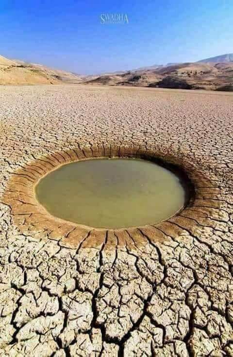 اسئلة واجوبة عن المسيح الدجال !!!