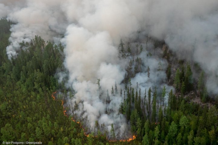 Planète (Russie) - Feux géants en Sibérie: un été dévastateur pour l’environnement