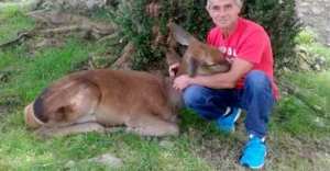 Planète (Espagne) - L'histoire d'Aladino Montes et du cerf qui l'a convaincu d'arrêter de chasser