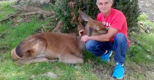 Planète (Espagne) - L'histoire d'Aladino Montes et du cerf qui l'a convaincu d'arrêter de chasser