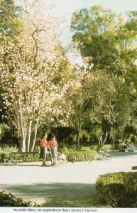 Blida la ville des roses