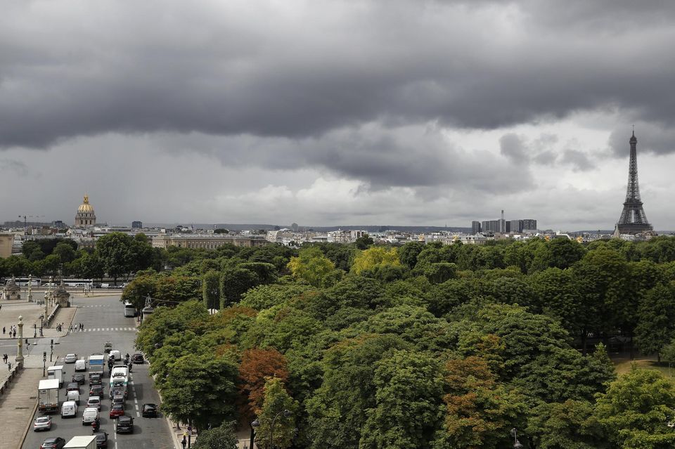Planète (France) - Laurent Tillon: «Un petit parc peut abriter un nombre incroyable d’espèces»
