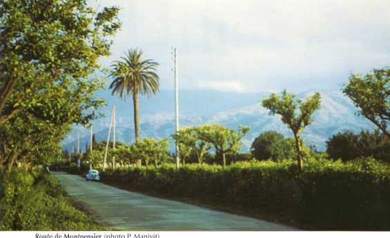 Photo de Montpensier Blida au paravent
