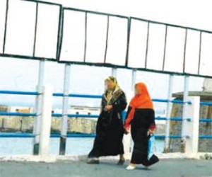 الحياة العربية