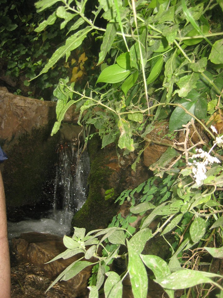 عيون مياه تلمسان المشهورة