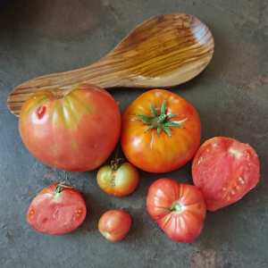Les dix bienfaits de la tomate