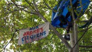 Planète (France) - Aux arbres citoyens ! La mobilisation contre l'abattage des arbres dans les communes
