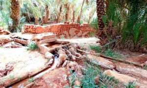 Adrar : sortie de la 1ère promotion d’agents d’entretien de foggaras