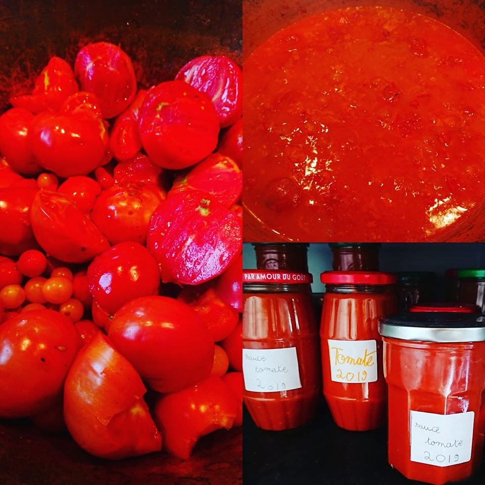 #saucetomate