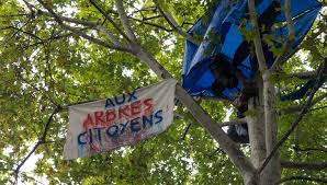 Planète (France) - Aux arbres citoyens ! La mobilisation contre l'abattage des arbres dans les communes