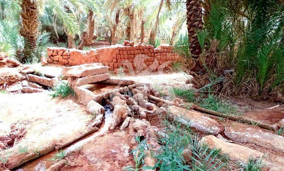 Adrar : sortie de la 1ère promotion d’agents d’entretien de foggaras