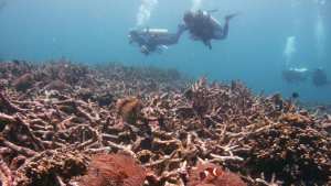 الأمم المتحدة تدق ناقوس الخطر بشأن آثار تغير المناخ الذي لا رجعة فيه