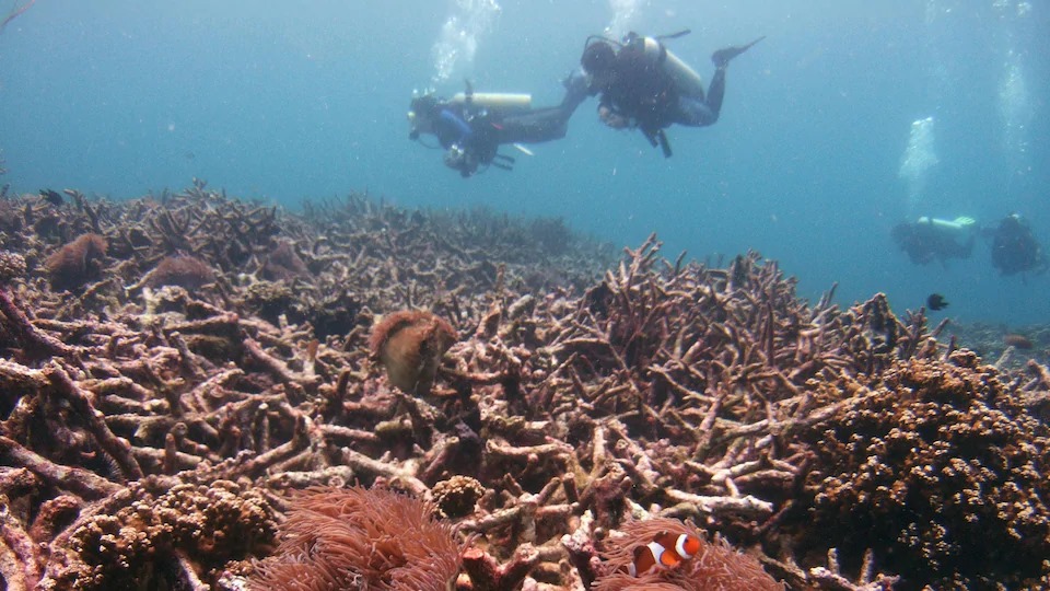 الأمم المتحدة تدق ناقوس الخطر بشأن آثار تغير المناخ الذي لا رجعة فيه