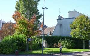 Planète (France) - Sceaux donne jusqu’à 200 euros à ses habitants pour planter des arbres