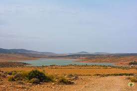 Tlemcen: Agriculteurs et éleveurs inquiets 