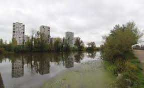 Planète (France) - Rennes: La Vilaine ne parvient pas à se défaire de l'égérie, plante très invasive