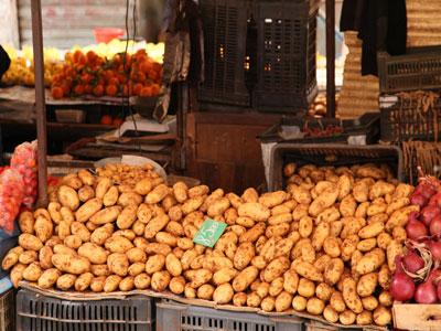 L'importation ne cassera pas les prix de la pomme de terre                                    Selon le ministre de l'Agriculture