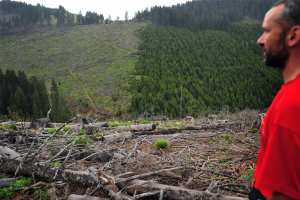 Planète - En Roumanie, la mafia du bois assassine les gardes-forestiers et détruit les plus vieilles forêts primaires d’Europe