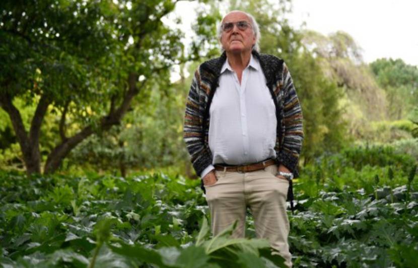 Planète - «Si on échoue à recréer une forêt primaire en Europe, cela veut dire que l’être humain est vraiment nul», s'alarme le botaniste Francis Hallé