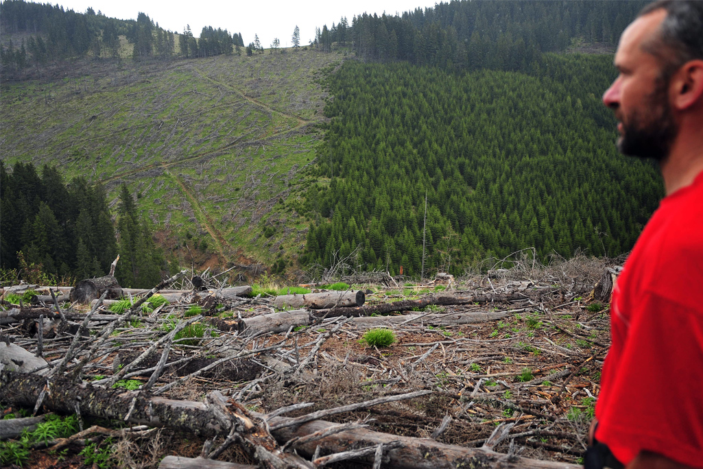 Planète - En Roumanie, la mafia du bois assassine les gardes-forestiers et détruit les plus vieilles forêts primaires d’Europe