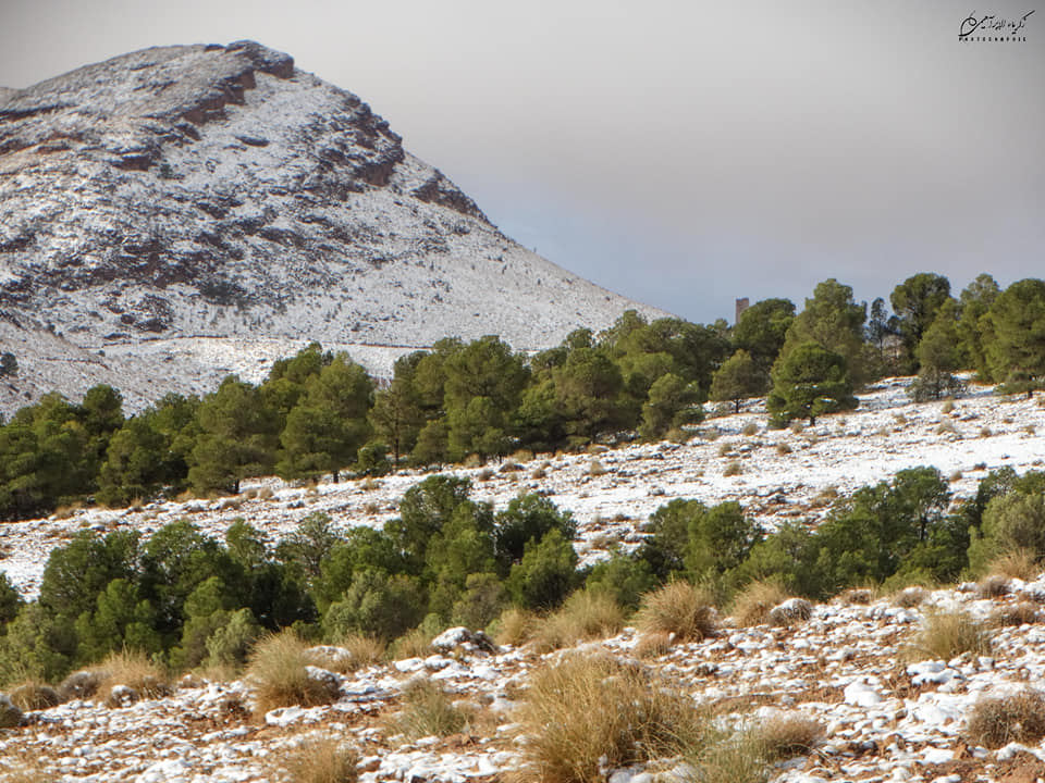 Algérie - Intempéries: Pluies, neige et quelques perturbations