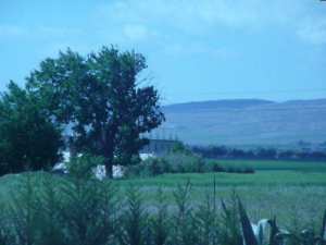 Bienvenue a ouled boutara