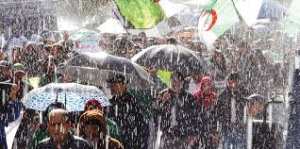 Alger - Le hirak au rendez-vous de la 39e mobilisation malgré le mauvais temps: Impressionnant !