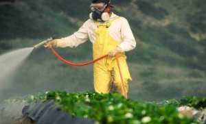 CHU d’Oran: 100 cas d'intoxications aiguës aux pesticides enregistrés annuellement