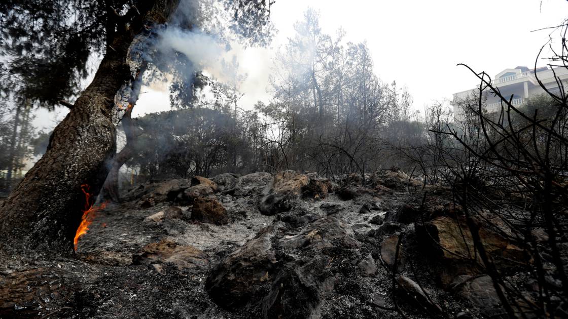 Planète - Le Liban pleure ses forêts réduites en cendres par les incendies