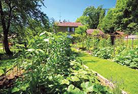 Oran - Comment créer son jardin en permaculture