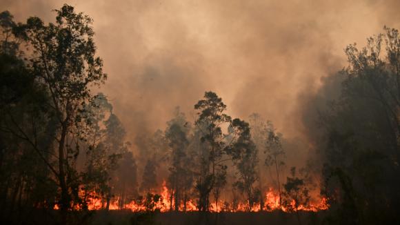 Planète - En Australie, les incendies, hors de contrôle, continuent de ravager le pays