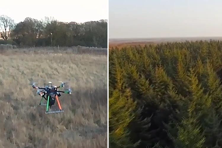 Planète - Un ancien ingénieur à la Nasa veut planter 32 milliards d’arbres d’ici à 2050 avec des Drones