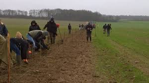 Planète (France) - D’urgence, recréer des haies