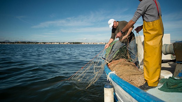 Planète - EN RAISON DE LA POLLUTION GALOPANTE AUTOUR DE LA MÉDITERRANÉE: Asphyxie de la Mer mineure en Espagne