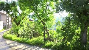 Iboudrarene (Tizi Ouzou) - Darna: Un civisme exemplaire d’écologie