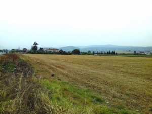 Boumerdès - Ferme pilote Ghalem de Bordj Menaïel: 975 ha inexploités faute d’acte de concession