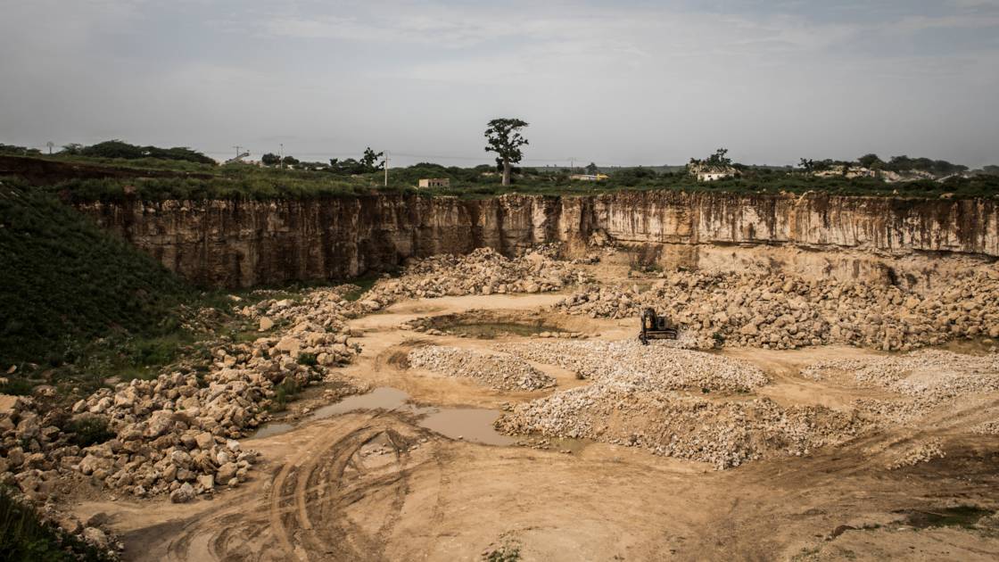 Planète (Afrique) - Au Sénégal, les baobabs ploient sous la pression des cimentiers