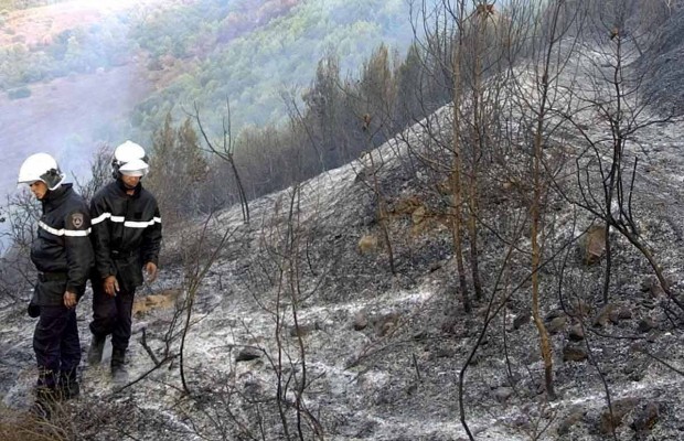 GOURAYA (TIPASA) - Les massifs montagneux ravagés par le feu