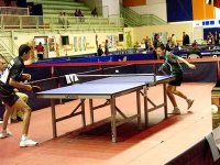 Circuit mondial de tennis de table 
