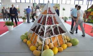 Algérie : Les produits nationaux à l’étranger