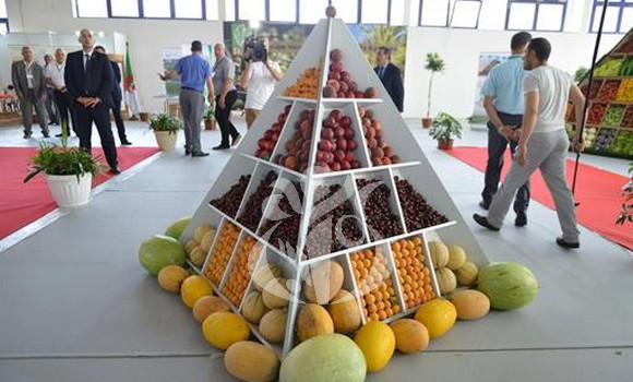 Algérie : Les produits nationaux à l’étranger