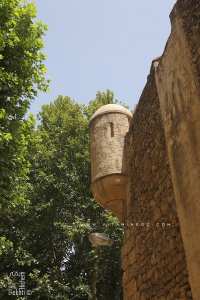 Histoire oubliée : Campagne de Tlemcen (1557)