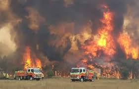 Planète - Incendies: Plus que le vent et la canicule, «l’Australie paie la sécheresse de l'hiver dernier»