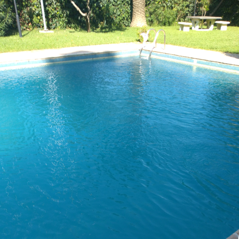 Maintenir sa piscine à Alger