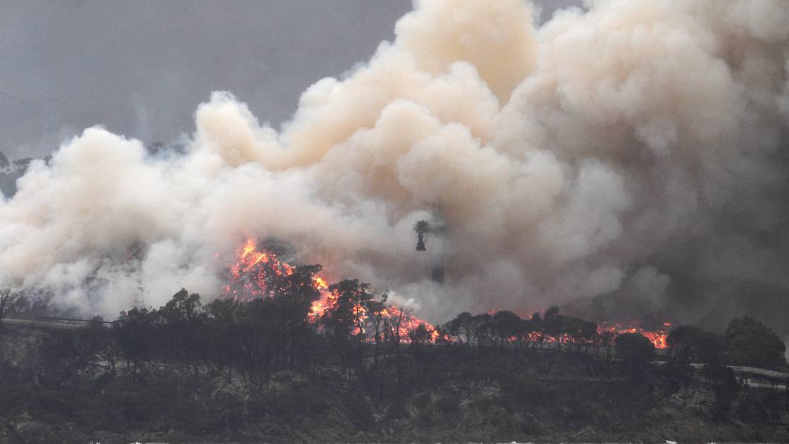 Planète - Biodiversité: l'ONU dévoile ses premières propositions pour éviter une sixième extinction de masse