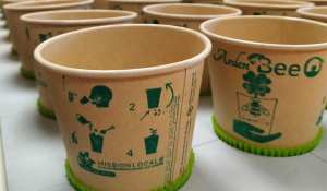 Planète - De jeunes Français créent un gobelet biodégradable qui se transforme en fleurs